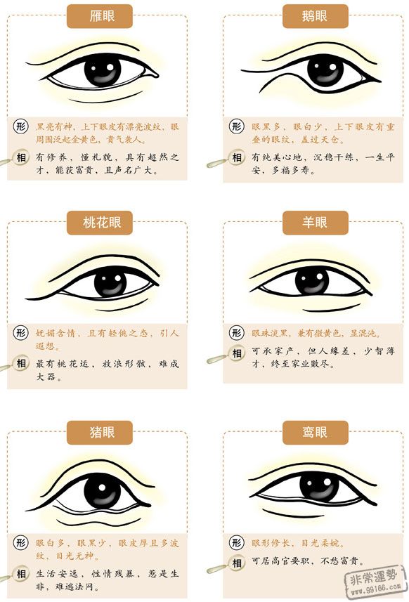 眼睛：用眼睛分析财富2