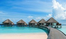 处女座今日运势2013年6月19日