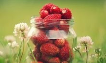 苏珊米勒今日运势2018年8月5日