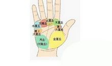 掌丘决定你的性格