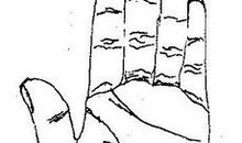 手相三才纹图解