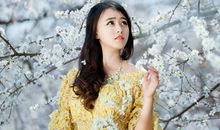 小乖麻根等卓玛2014年11月巨蟹座运势