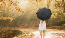 小乖麻根等卓玛2014年11月狮子座运势