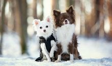 柒爸天蝎座一周运势（8.27-9.2）