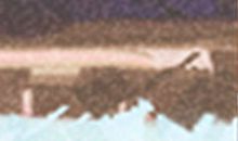 生肖猴如何面对恋人的背叛