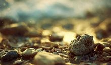 YAO叔射手座一周运势（9.3-9.9）