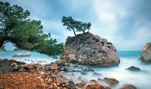 YAO叔狮子座一周运势（9.3-9.9）