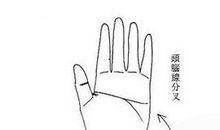 双重性格的女人手相