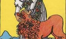 塔罗测试：你有多爱秀恩爱