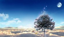 唐绮阳/唐立淇今日运势2018年8月7日