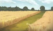 运动前吃什么比较好