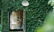 凰洛-枂2017年9月双鱼座运势