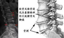 天蝎座今日运势2012年11月3日