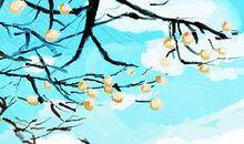 冬天吃什么水果提高免疫力 有效预防疾病