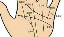 哪些手相婚姻容易出问题