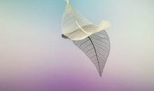 射手座今日运势2014年10月26日