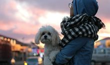 苏珊米勒今日运势2018年8月4日