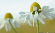 判答12星座每周运势11.13-11.19