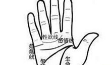 智慧线与感情线相交好吗