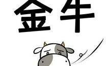 金牛座今日运势2013年12月28日