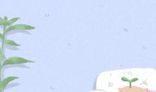 下半年财情两收，终成人生赢家的星座