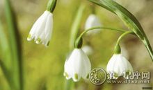 ATS星译社12星座周运10.30-11.05