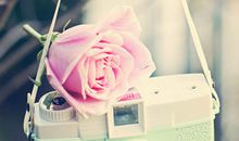 小乖麻根登卓玛2013年4月狮子座运势