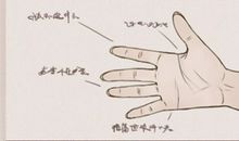 男人手指头短代表什么 好不好