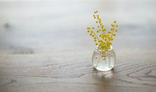 Alex射手座2017年9月运势