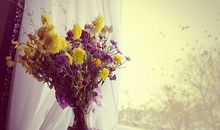 2014年清明节有何风水禁忌