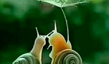 生肖猴夫妻间和睦相处之道