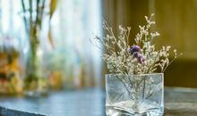 Alex金牛座2017年9月运势