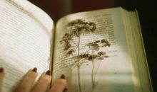 柒爸2017年4月天秤座运势