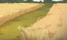 倒春寒来袭小心关节炎 天气回暖别太早露膝