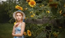 生肖马怎么改运