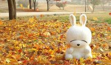 YAO叔巨蟹座一周运势（8.13-8.19）