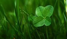 八字看你会成为谁的小人