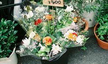 判答2018年水瓶座运势