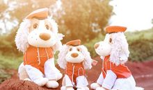 YAO叔狮子座一周运势（8.13-8.19）