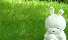 YAO叔水瓶座一周运势（8.13-8.19）