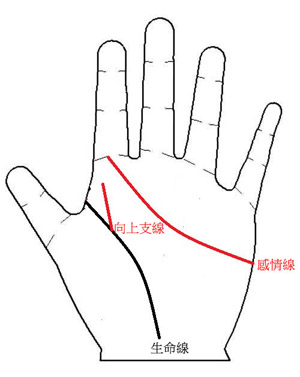 手相图：您的孩子孝顺3