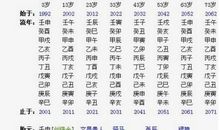 八字算命：公历2007年4月10日2时31分出生的