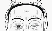 面相算命图解：面相十二宫