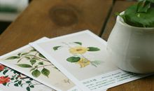 判答2018年天蝎座运势