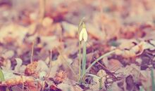 海百合今日运势2018年7月20日