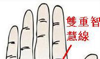 解析高智商人的手相特点