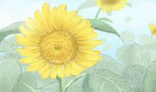 明星励志故事，诉说明星背后的心酸