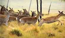 海百合今日运势2018年7月6日