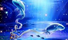 双鱼座今日运势2014年11月27日