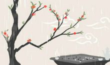 办公室放什么植物风水好 有何说法